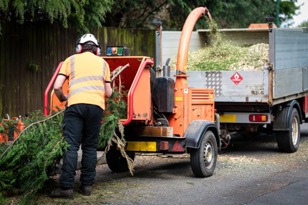 Best Arborist Consultation Services  in Kincheloe, MI